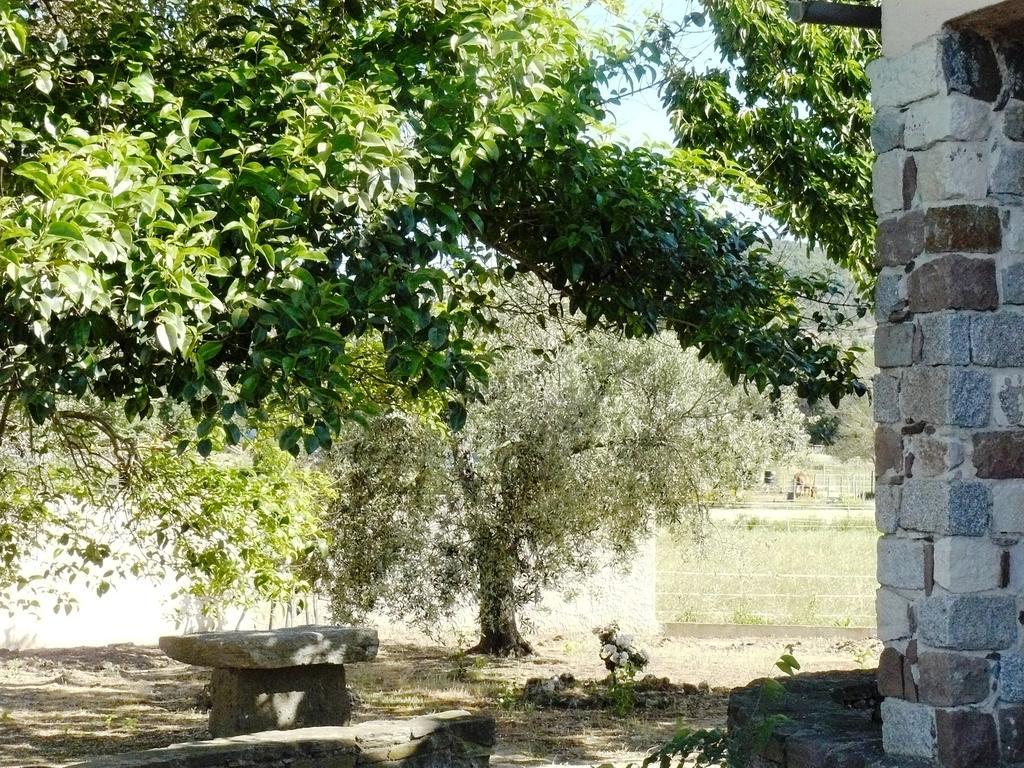 Appartement Mas le Chêne à Grimaud Extérieur photo