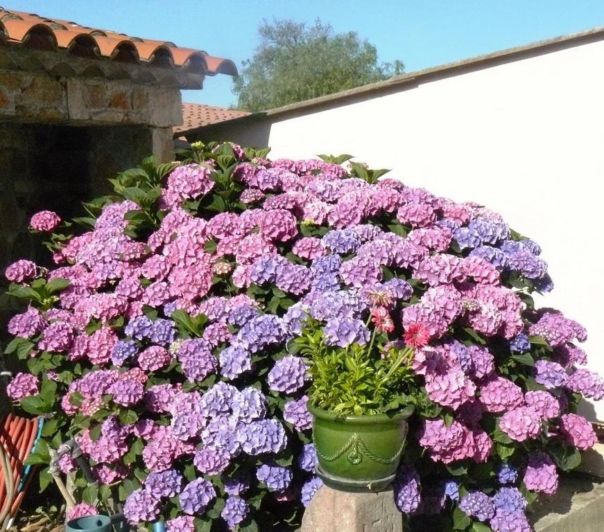 Appartement Mas le Chêne à Grimaud Extérieur photo